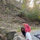 F81 | 캠핑플래닛 - 원조할매곱창