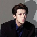 오이사 - 제주시 | 오이사