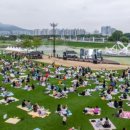 캠핑아일랜드 이미지