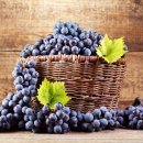 포도약국 이미지