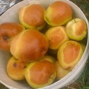 휴바스코리아 이미지