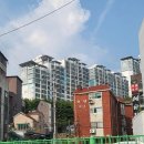 [임장후기] 자연농원에서 반도체 도시로, 용인