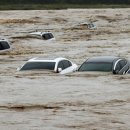 직지사천 이미지