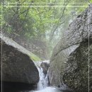 장흥계곡집 이미지