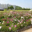 낙동가람 이미지