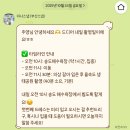 생생헤어 | 웨딩촬영] 부산 야외웨딩스냅 | 부산 야외웨딩스냅 촬영 장소, 웨딩촬영 헤어메이크업 내돈내산 생생후기