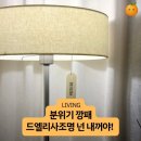 엘리사 | 드엘리사 모듈리 플로어 램프 후기: 특장점부터 조명 어플 활용 꿀팁까지