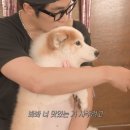 양희 - 부산진구 | 양희