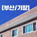 갯가장어탕