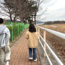 경주 충효닭집 그리고 황남빵