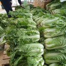 감치농장 이미지