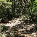 오봉초등학교 이미지