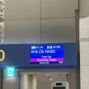 발통나라 | [LA] 신혼여행 1일차 - 아시아나항공,기내식,허츠렌트카,할리우드시티인,인앤아웃,할리우드,돌비...
