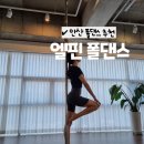 엘핀폴스튜디오 | 안산 엘핀 폴댄스 취미, 운동으로 추천하는 이유