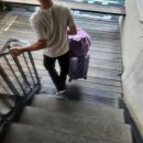 그린트리약국 | 태국 치앙마이 7박 9일 | Day6-1 크라비무앙, 베드님만, 원님만 쇼핑리스트