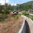 청마농장2 이미지