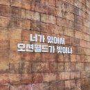 플렉스페이_전용 | 비발디파크 오션월드 여름 필수 코스 워터파크 방문 후기