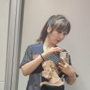 성경완 동물병원 이미지