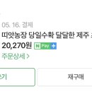 띠앗농장 이미지