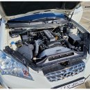 조이모터스 이미지