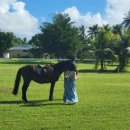 위너스노래방 이미지