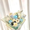 리라소프트 이미지