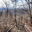 들국화(만수)마을 이미지