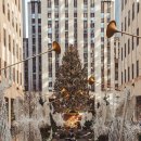 루거모텔 | 12월 크리스마스 뉴욕 1주일 준비 + 여행 경비 공유