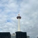 밤 비행기로 갔던 3박3일 겨울 일본 오사카여행 총정리 🇯🇵