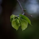 리온 휘트니스 이미지