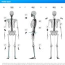 상남메디칼약국 | 창원pt 고민 끝, [바디제로 창원 상남점]에서 최정원 코치님과 체형분석 + 자세교정 후기