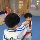 세종의 아침 태권도 이미지