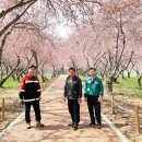 웅동수원지 이미지