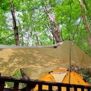 영월캠프 이미지