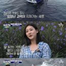 도시어부 - 진천군 광혜원산단1길 117-3 | 도시어부