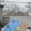 중앙동174 | 성심당 처음 가본 1박 2일 대전여행 후기