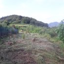 정일품농장 이미지