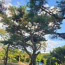 조형주유소 이미지