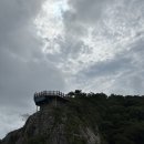 발개로 이미지