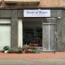 (사)센트 이미지