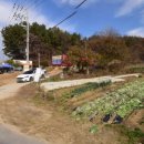 의당면사무소 이미지