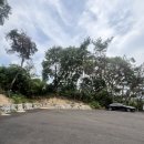 여주-0827 이미지