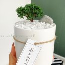 네일공간시나브로