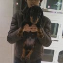 둔촌동물병원 이미지