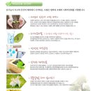 오가노화장품