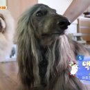 환웅농장 네이버블로그