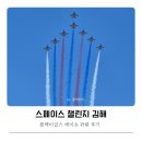 이글스홍보 | 김해 공군기지 블랙이글스 에어쇼 감상 후기 에어쇼 일정