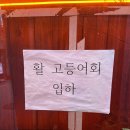 별빛고등어