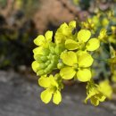 안산연세병원 이미지