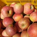 홍균농장 이미지